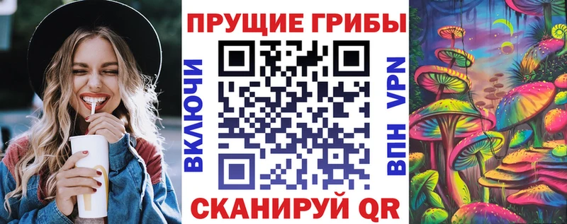 Галлюциногенные грибы Psilocybine cubensis Муравленко
