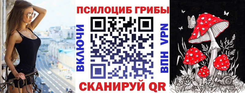 Псилоцибиновые грибы Psilocybe  Муравленко 